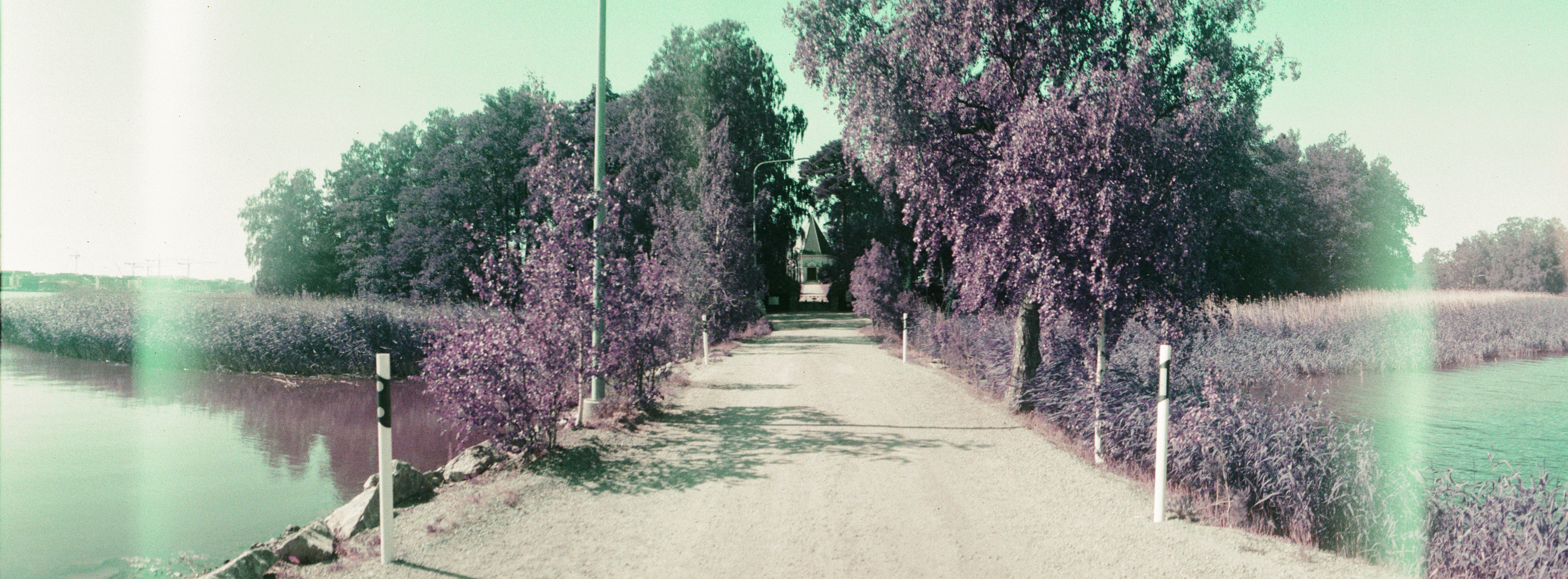 Infrared landscape