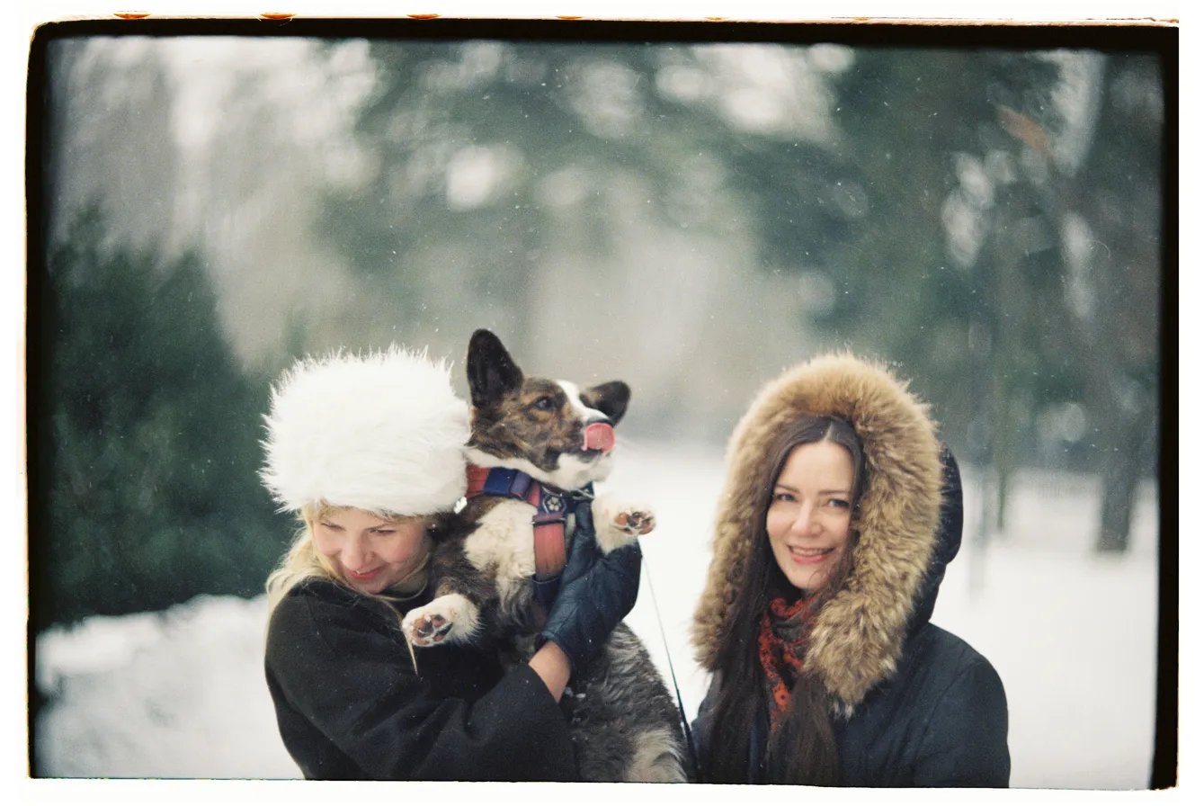 Dog in snow
